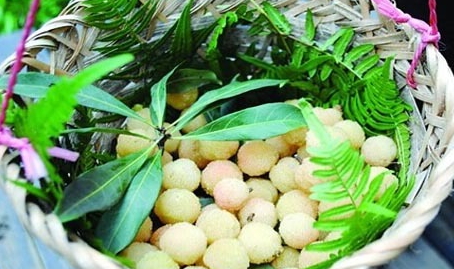 白杨梅上市时间,杨梅何时上市时间