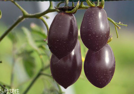 血腥玛丽鸡尾酒怎么喝,血腥玛丽鸡尾酒是什么味道