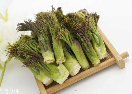 血腥玛丽鸡尾酒烈吗,鸡尾酒 血腥玛丽