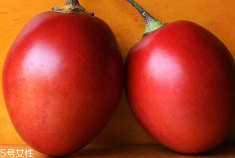 树番茄是什么,树番茄种植