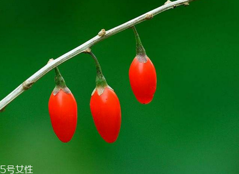 枸杞怎么样算变质,枸杞怎么样保存防潮