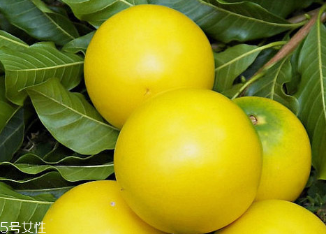 风流果有什么功效作用,风流果有什么功效