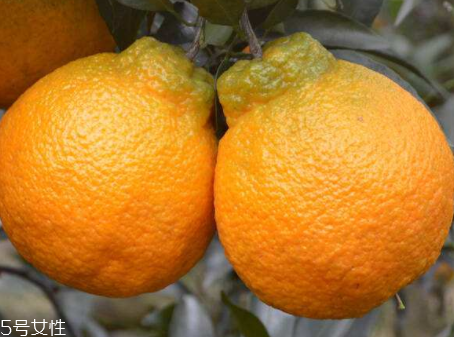 长岛冰茶什么味道的,长岛冰茶什么味道冰红茶