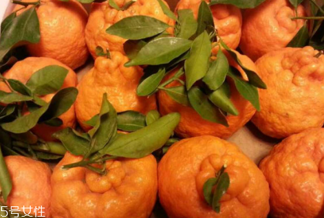 丑柑可以放冰箱吗,丑柑能不能放冰箱