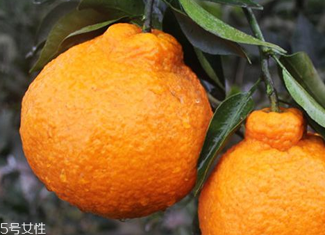 长岛冰茶好喝吗,长岛冰茶怎么样