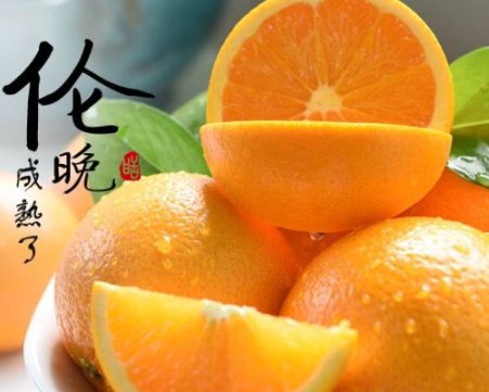 伦晚脐橙和夏橙哪个好,伦晚和脐橙有什么区别