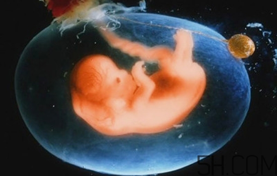 骑动感单车练前准备工作(动感单车自己在家练)