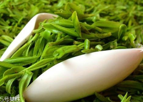 乌牛早茶叶,乌龙茶的采摘标准