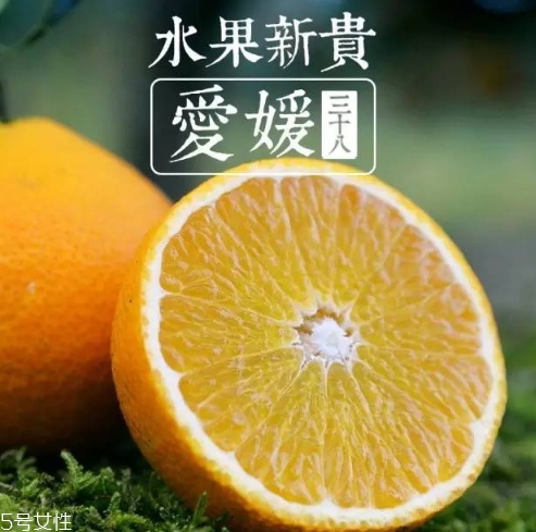 爱媛38号好吃吗?,爱媛38号哪里的最好吃