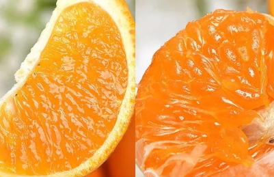 青见柑橘酸吗,青见柑橘介绍