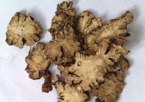 川芎药用价值,川芎贵不贵 川芎药用价值,川芎贵不贵