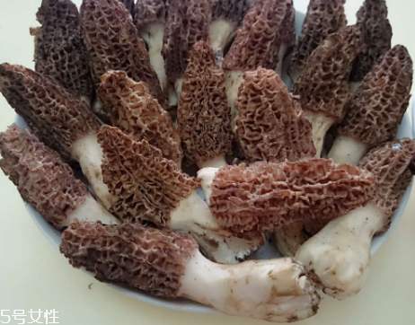 羊肚菌怎么做才好吃,羊肚菌怎么做汤好喝