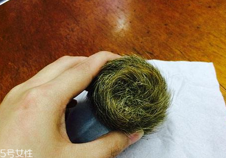 猪砂为什么那么贵,猪砂值钱吗 猪砂为什么那么贵,猪砂值钱吗