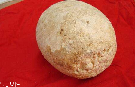 鸭宝的价值,鸭宝真正价值 鸭宝的价值,鸭宝真正价值