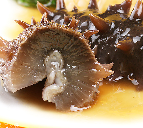 海参怎么样泡发最大,海参怎么样吃法