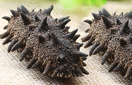 糯米糍凉了不硬的配方窍门,糯米糍凉了不硬的配方,做面包用什么馅好