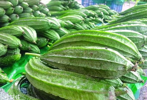 八棱瓜种植技术,八棱瓜什么时候种 八棱瓜种植技术,八棱瓜什么时候种