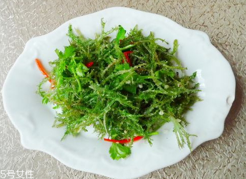 鹿角菜的特征,什么是鹿角菜