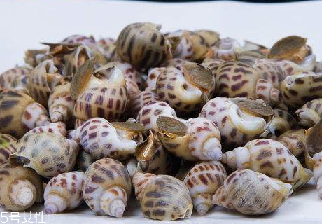 香螺死了还可以吃吗,螺丝死了还能吃不
