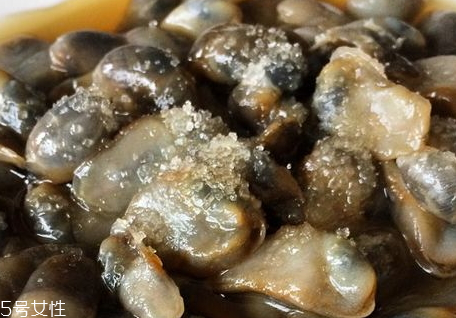 泥螺几月份可以捡,什么时候去捡石螺最好