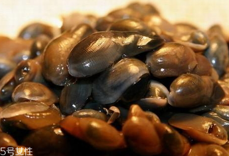 泥螺 寄生虫,醉泥螺能杀死寄生虫么