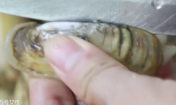 葱爆蛏子的做法,葱姜蛏子怎么做好吃 葱爆蛏子的做法,葱姜蛏子怎么做好吃