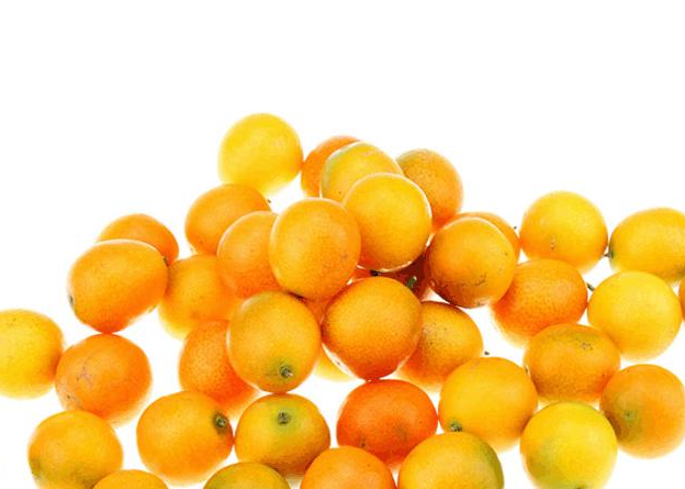 金钱橘的皮可以吃吗,金钱桔的皮能不能吃