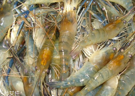 孕妇吃罗氏虾的好处,孕妇吃罗氏虾好吗