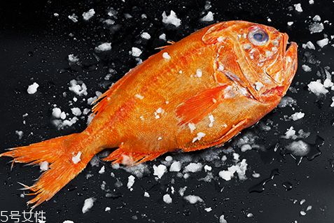 最长寿的鱼能活多少年,鱼的寿命可以活多少时间 最长寿的鱼能活多少年,鱼的寿命可以活多少时间