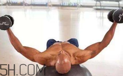 哑铃飞鸟注意事项(哑铃飞鸟注意事项)