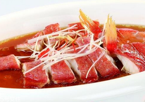 东星斑的特征,东星斑特点