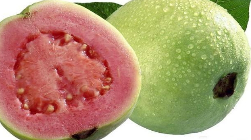 红心芭乐好吃还是白心芭乐好吃,红心芭乐和白心芭乐哪种好吃