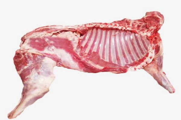 冬季用什么炖羊肉最好,冬季吃山羊肉好还是绵羊肉好