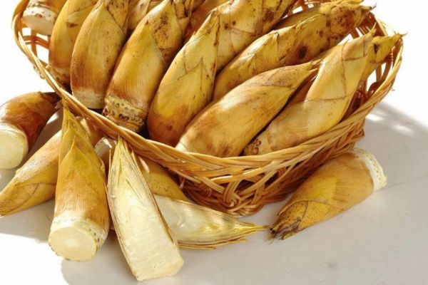 冬笋应该怎么保存,冬笋应该怎么保存比较好