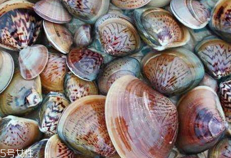 水煮毛蛤蜊的做法,水煮毛蛤蜊的做法煮几分钟 水煮毛蛤蜊的做法,水煮毛蛤蜊的做法煮几分钟