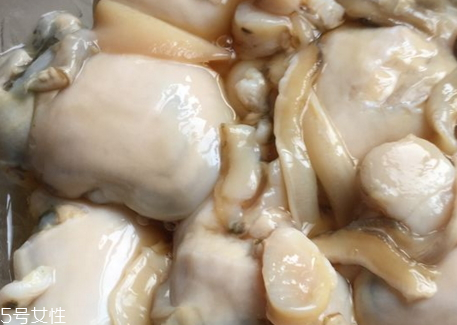 河蚌可以放冰箱吗,活的河蚌可以保存在冰箱吗