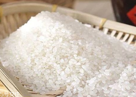 云辛东北珍珠米怎么样,东北珍珠米怎么样
