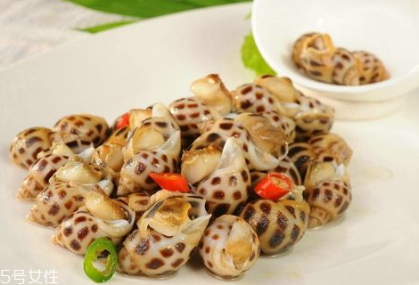 花螺可以放多久,花螺可以放多久,需要水吗