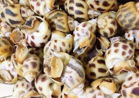 花螺怎么煮才好吃,花螺怎么煮要几分钟 花螺怎么煮才好吃,花螺怎么煮要几分钟