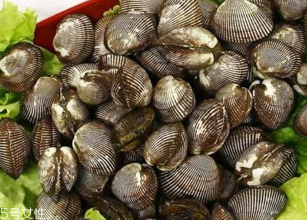 小葱拌毛蚶的家常做法,毛蚶的家常做法 小葱拌毛蚶的家常做法,毛蚶的家常做法
