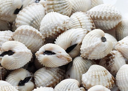 毛蚶如何处理,毛蚶生吃处理方法