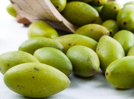 橄榄的热量是多少大卡,橄榄油的热量