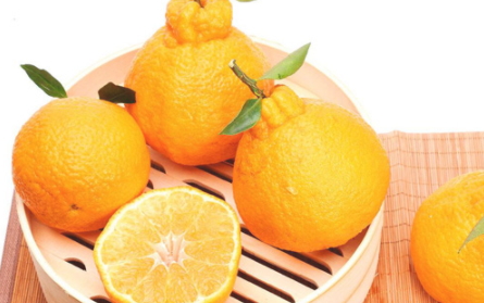 宝宝多大可以吃丑橘,丑橘适合多大孩子吃