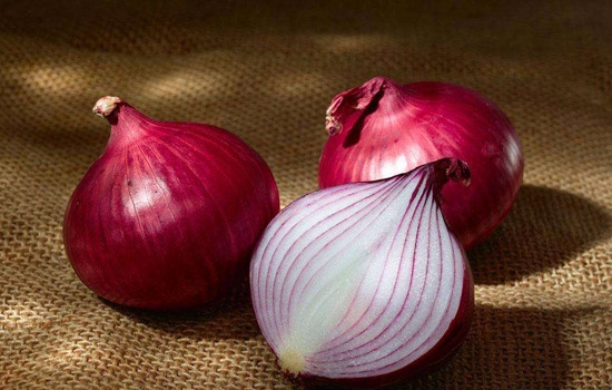 洋葱食用部分,洋葱怎么做营养不流失