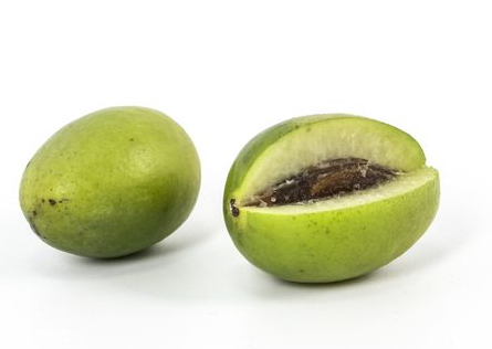 青橄榄能和红茶一起泡吗,橄榄和茶叶一起泡吗