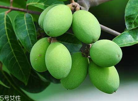 牛肉和橄榄一起吃会怎样,橄榄跟牛肉一起吃会导致什么后果