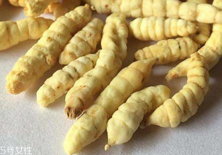 虫草参怎么泡酒,虫草参怎么泡酒?用啥酒?