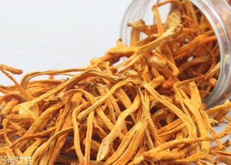 虫草花和什么一起吃效果最好,虫草花不可以和什么一起吃