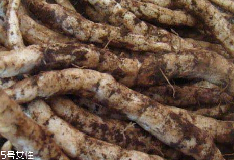 莲藕什么时候成熟,藕一般是什么季节成熟的?