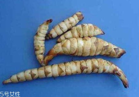 地笋怎么吃功效最好,地笋怎么吃最营养